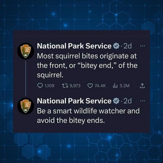 National Park Service & • 2d Most squirrel bites originate at the front, or "bitey end," of the squirrel. • 1109 17 9.973 C 74.4K I 5.2M National Park Service & • 2d Be a smart wildlife watcher and avoid the bitey ends.