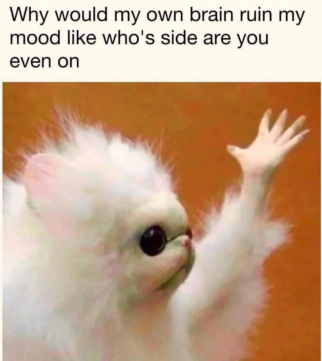 classic memes, viral tweets, vintage memes, timeless memes, old-school memes, internet humor, best memes, old memes, internet culture, meme history, nostalgic memes, adulting memes, modern life memes, throwback memes, retro memes