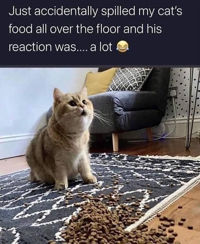 classic memes, vintage memes, viral tweets, old memes, best memes, old-school humor, internet classics, meme culture, internet humor, trending tweets, online jokes, web comedy