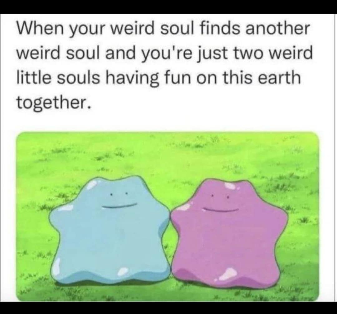 classic memes, vintage memes, viral tweets, dnd memes, d&d memes, dungeons & dragons, tabletop humor, RPG jokes, dice-rolling laughs, role-playing memes, character creation puns, story-driven fun, gaming banter, fantasy gaming jokes, quest comedy, mythical hilarity, epic sarcasm, critical hit humor, lucky rolls, big damage quips, heroic punchlines