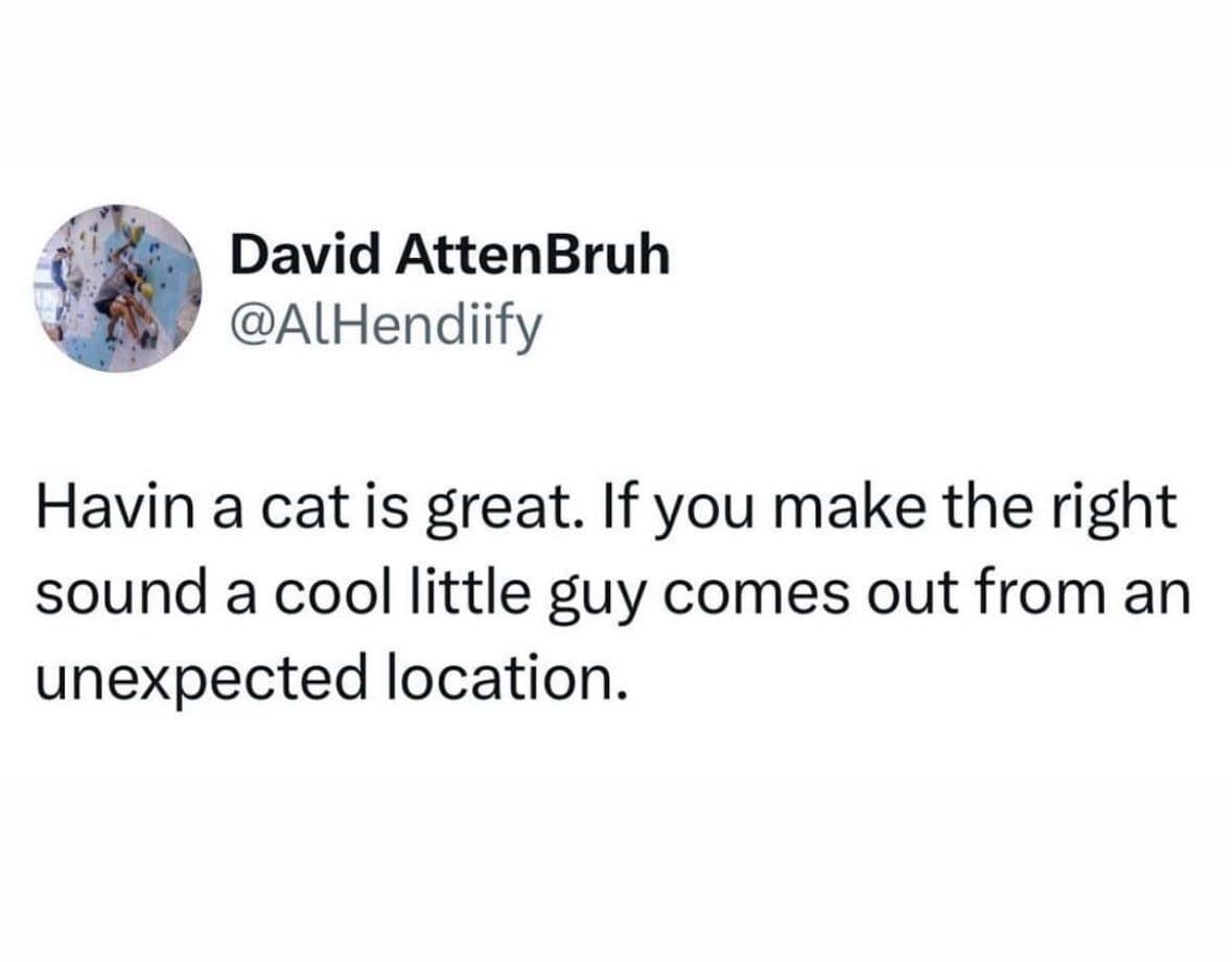 classic meme, vintage memes, viral tweets, iconic memes, timeless humor, internet nostalgia, retro memes, trending tweets, throwback humor, old-school memes, best memes, old memes