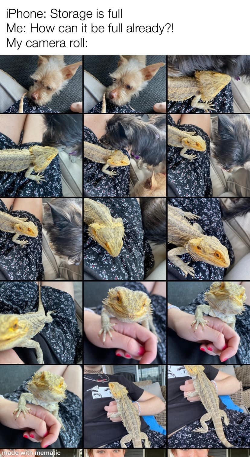 classic memes, vintage memes, viral tweets, old memes, best memes, enduring web jokes, vintage online humor, evergreen digital content, trending text posts, influential microblogs, widely shared statuses, timeless internet humor, enduring comedic references, online classics, perpetual gags, nostalgic memes, retro online fun, past-era digital entertainment, throwback favorites