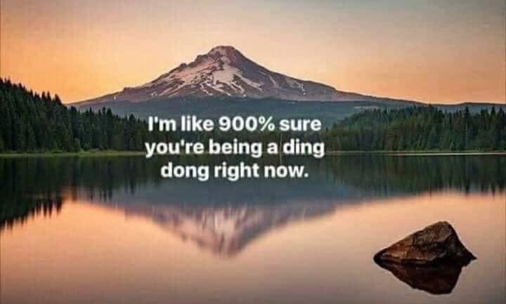 classic memes, vintage memes, viral tweets, best memes, OG internet humor, best memes, old memes, retro memes, throwback memes, all time memes, old but gold memes