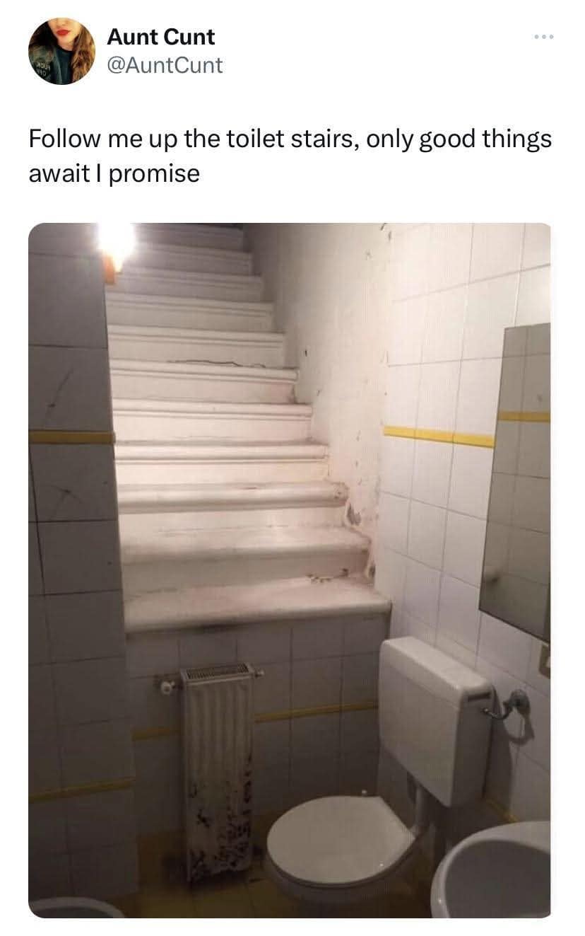 classic memes, vintage memes, viral tweets, viral memes, timeless memes, internet humor, internet culture, meme history, nostalgic memes, adulting memes, modern life memes, old memes, best memes, retro memes