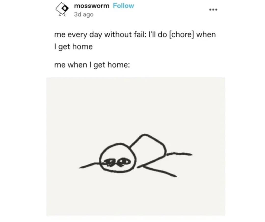 classic memes, vintage memes, viral tweets, nostalgic jokes, retro humor, headline-worthy microblogs, quick-witted lines, high-impact posts, timeless memes, evergreen comedic bits, everlasting gags, never-fading jokes, internet humor, comedic net culture, digital jokes, web-based humor, best memes, old memes