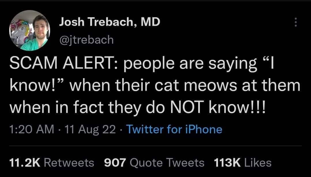 classic memes, vintage memes, viral tweets, best memes, OG internet humor, best memes, old memes, retro memes, throwback memes, all time memes, old but gold memes