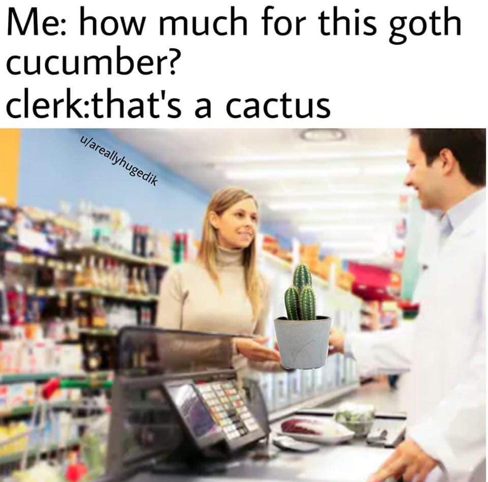 classic memes, vintage memes, viral tweets, nostalgic jokes, retro humor, headline-worthy microblogs, quick-witted lines, high-impact posts, timeless memes, evergreen comedic bits, everlasting gags, never-fading jokes, internet humor, comedic net culture, digital jokes, web-based humor, best memes, old memes