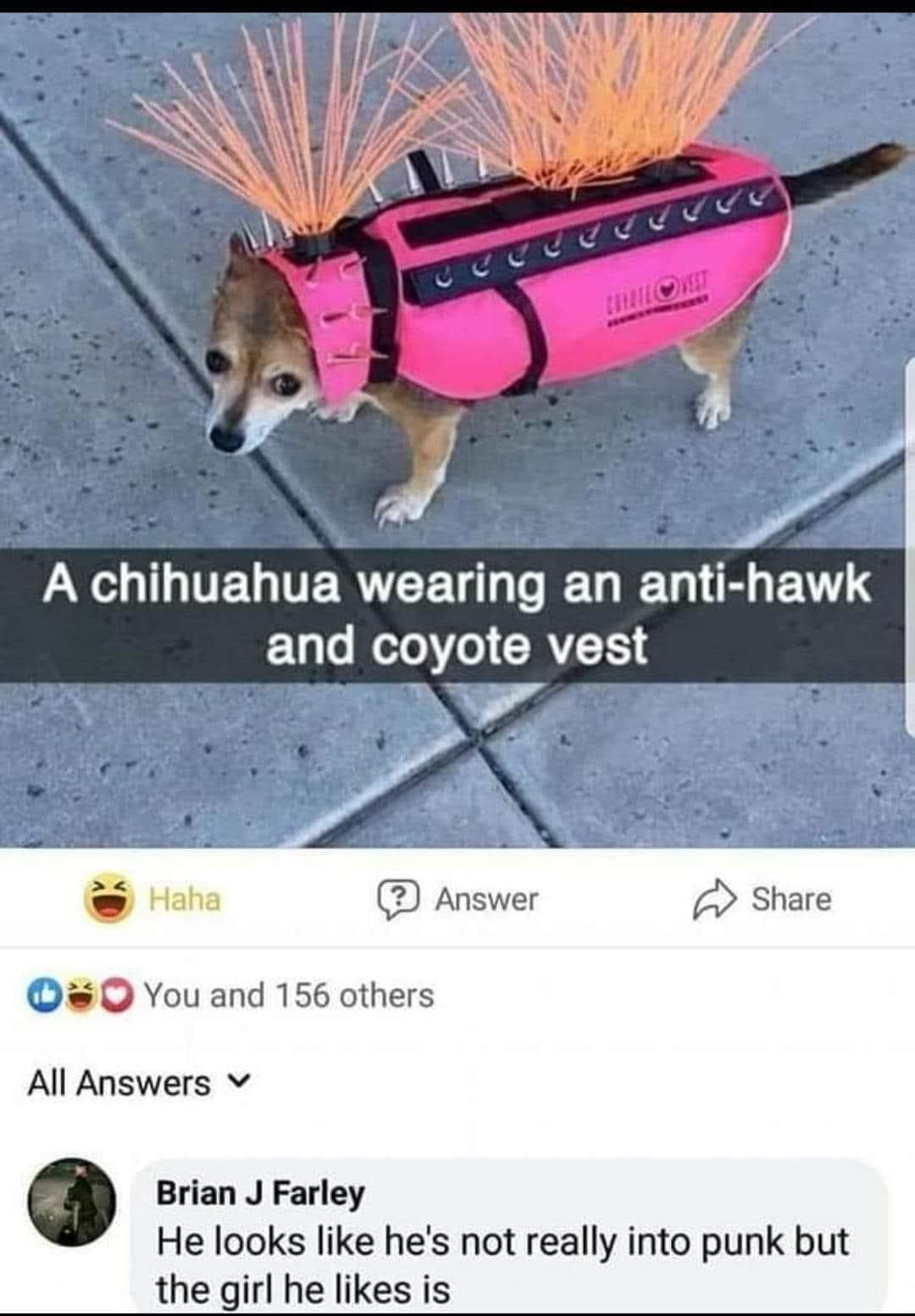 classic memes, vintage memes, viral tweets, old memes, best memes, old-school humor, internet classics, meme culture, internet humor, trending tweets, online jokes, web comedy