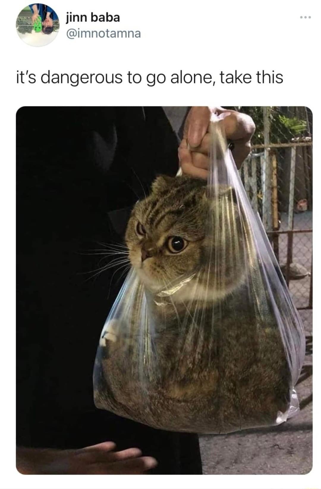 classic memes, vintage memes, viral tweets, nostalgic jokes, retro humor, headline-worthy microblogs, quick-witted lines, high-impact posts, timeless memes, evergreen comedic bits, everlasting gags, never-fading jokes, internet humor, comedic net culture, digital jokes, web-based humor, best memes, old memes