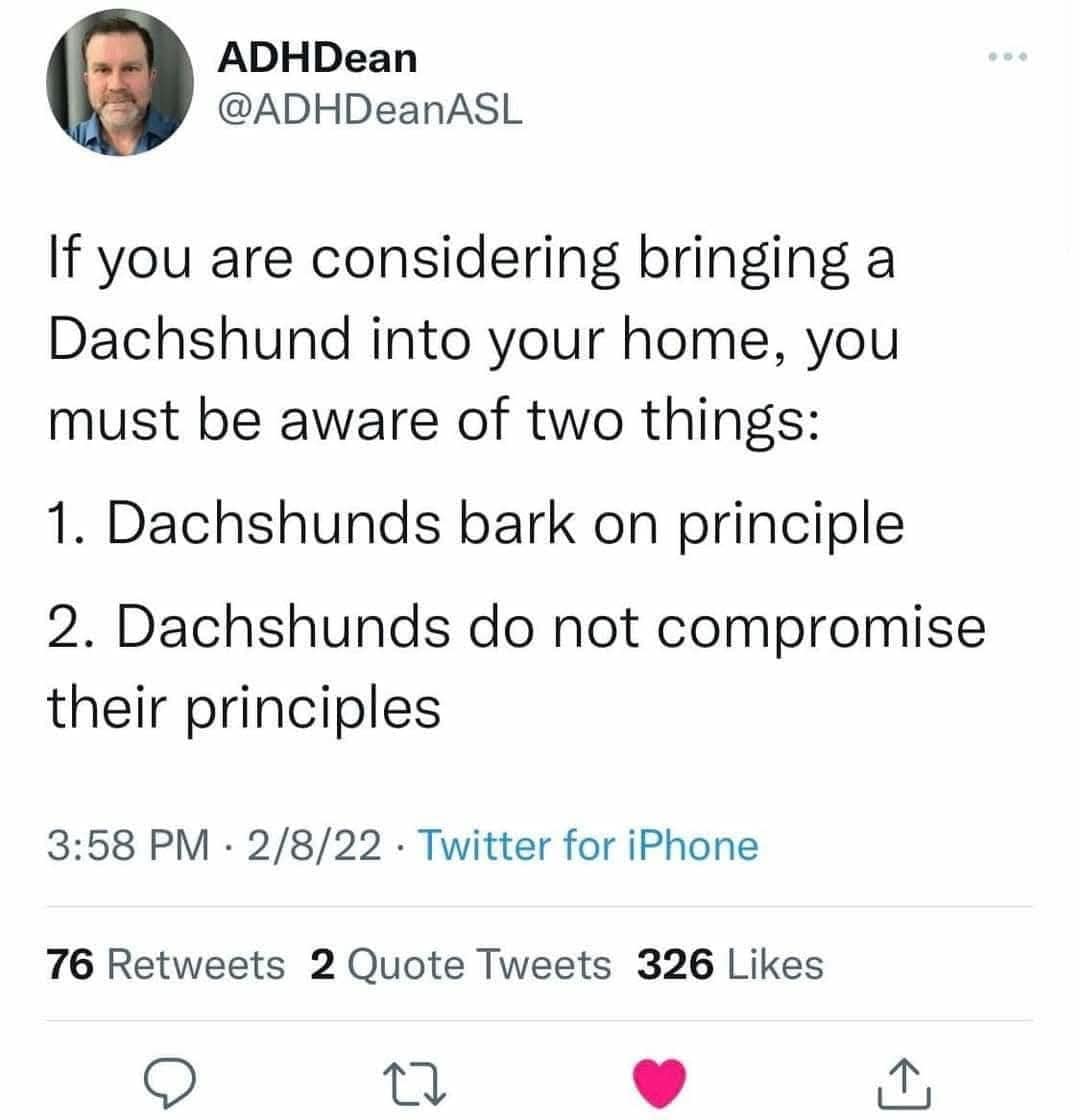 classic memes, vintage memes, viral tweets, best memes, OG internet humor, best memes, old memes, retro memes, throwback memes, all time memes, old but gold memes