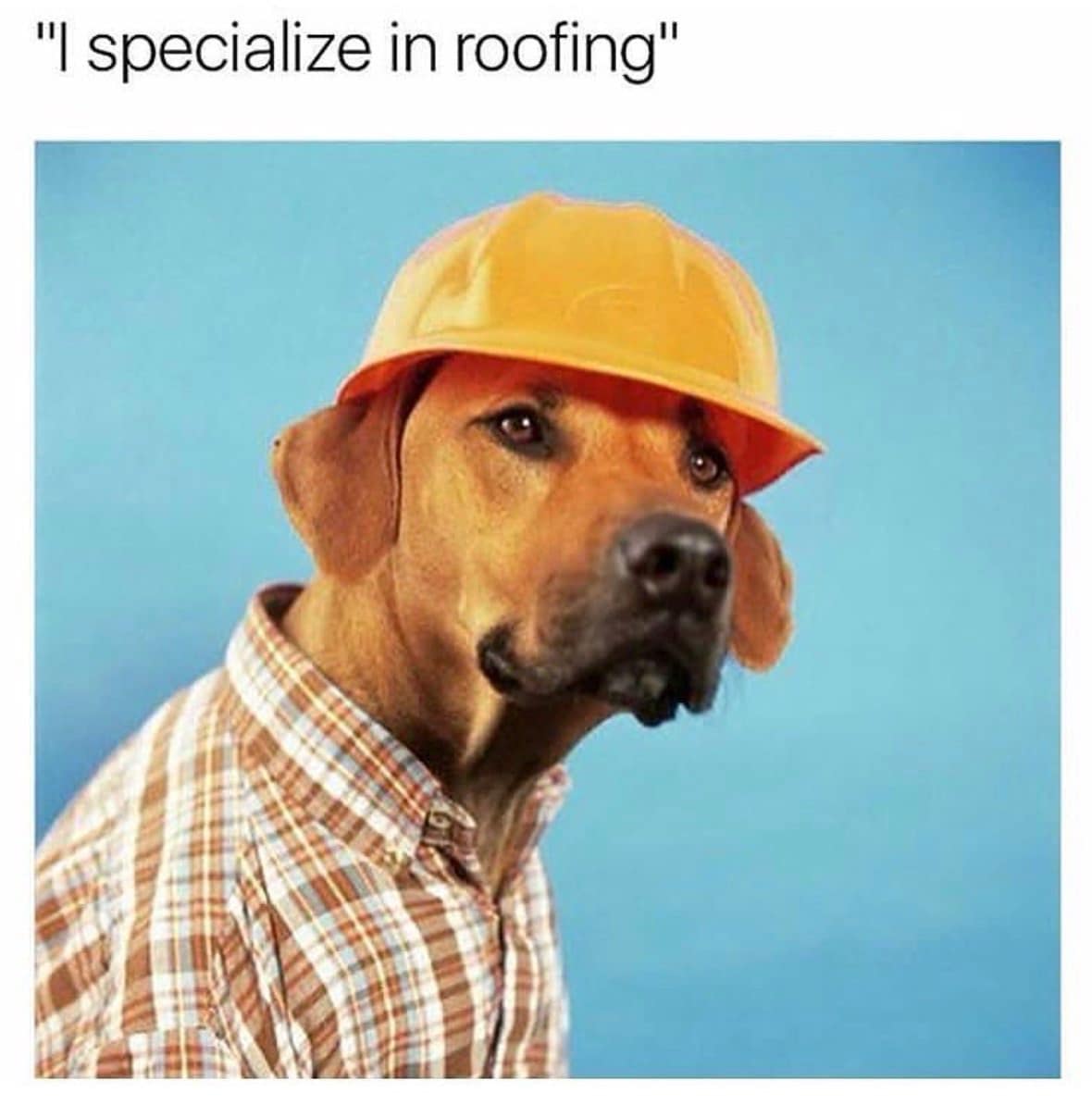 " specialize in roofing"