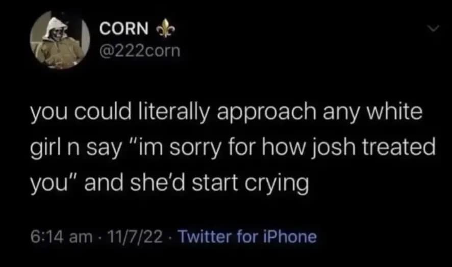 CORN @222corn you could literally approach any white girl n say "im sorry for how josh treated you" and she'd start crying 6:14 am • 11/7/22 • Twitter for iPhone