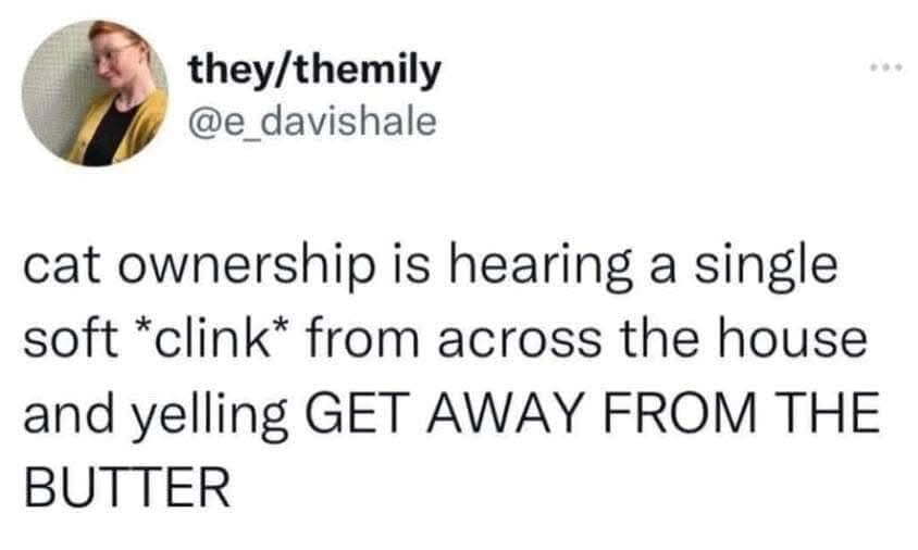 they/themily @e_davishale cat ownership is hearing a single soft *clink* from across the house and yelling GET AWAY FROM THE BUTTER