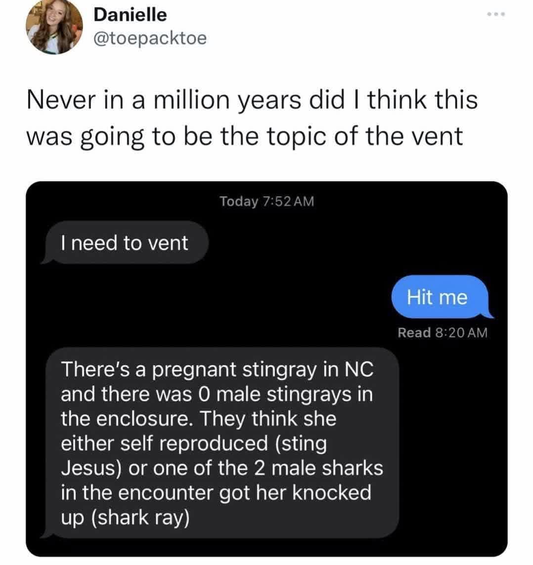 Danielle @toepacktoe Never in a million years did I think this was going to be the topic of the vent Today 7:52 AM I need to vent Hit me Read 8:20 AM There's a pregnant stingray in NC and there was 0 male stingrays in the enclosure. They think she either self reproduced (sting Jesus) or one of the 2 male sharks in the encounter got her knocked up (shark ray)