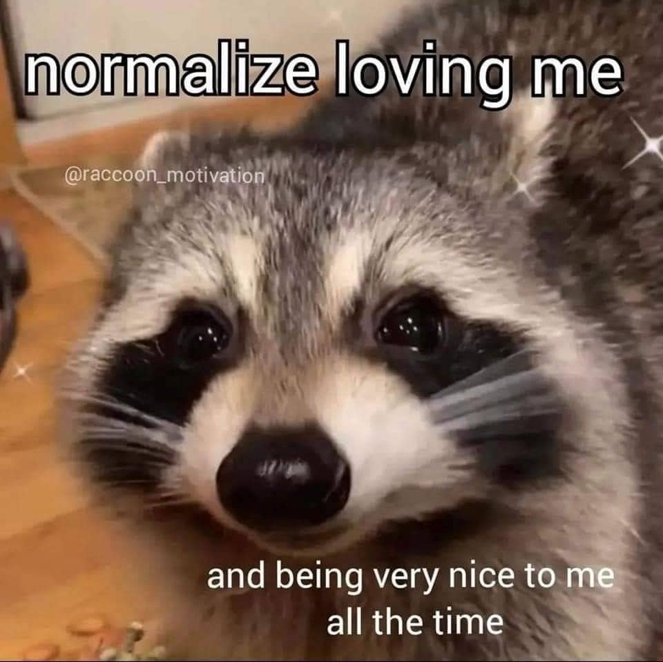 normalize loving me @raccoon_motivation and being very nice to me all the time
