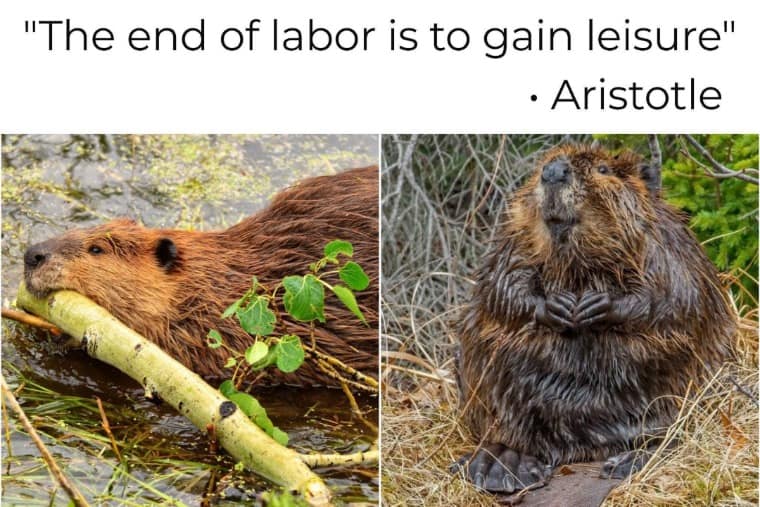 "The end of labor is to gain leisure" • Aristotle