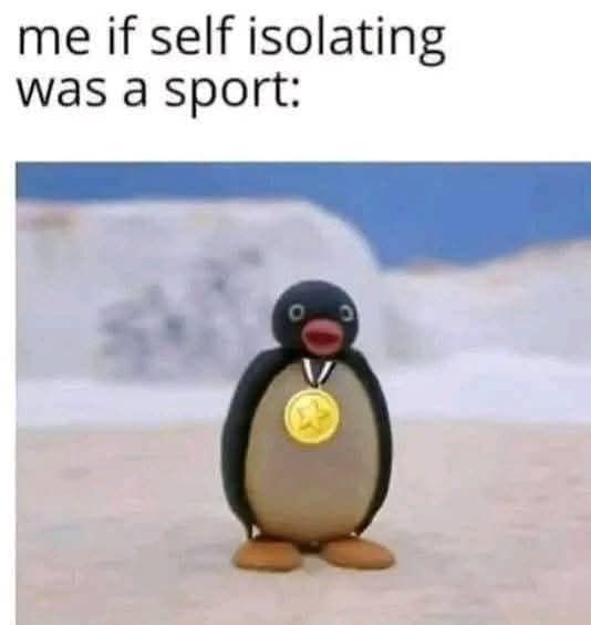 me if self isolating was a sport: