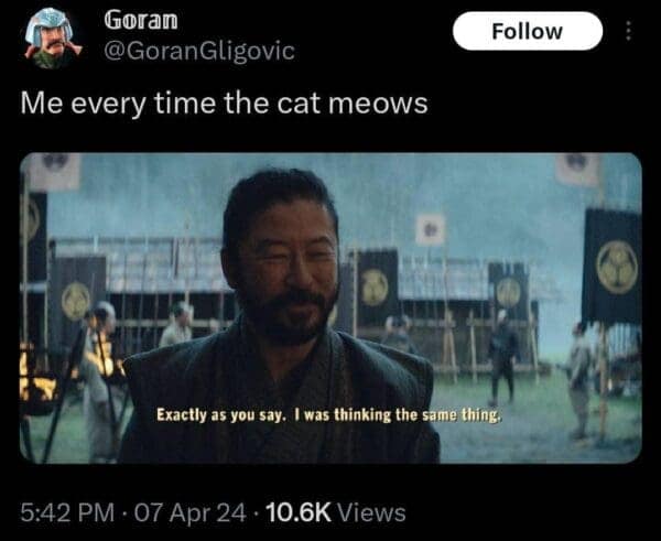 Goran @GoranGligovic Me every time the cat meows Follow Exactly as you say. I was thinking the same thing. 5:42 PM • 07 Apr 24 • 10.6K Views