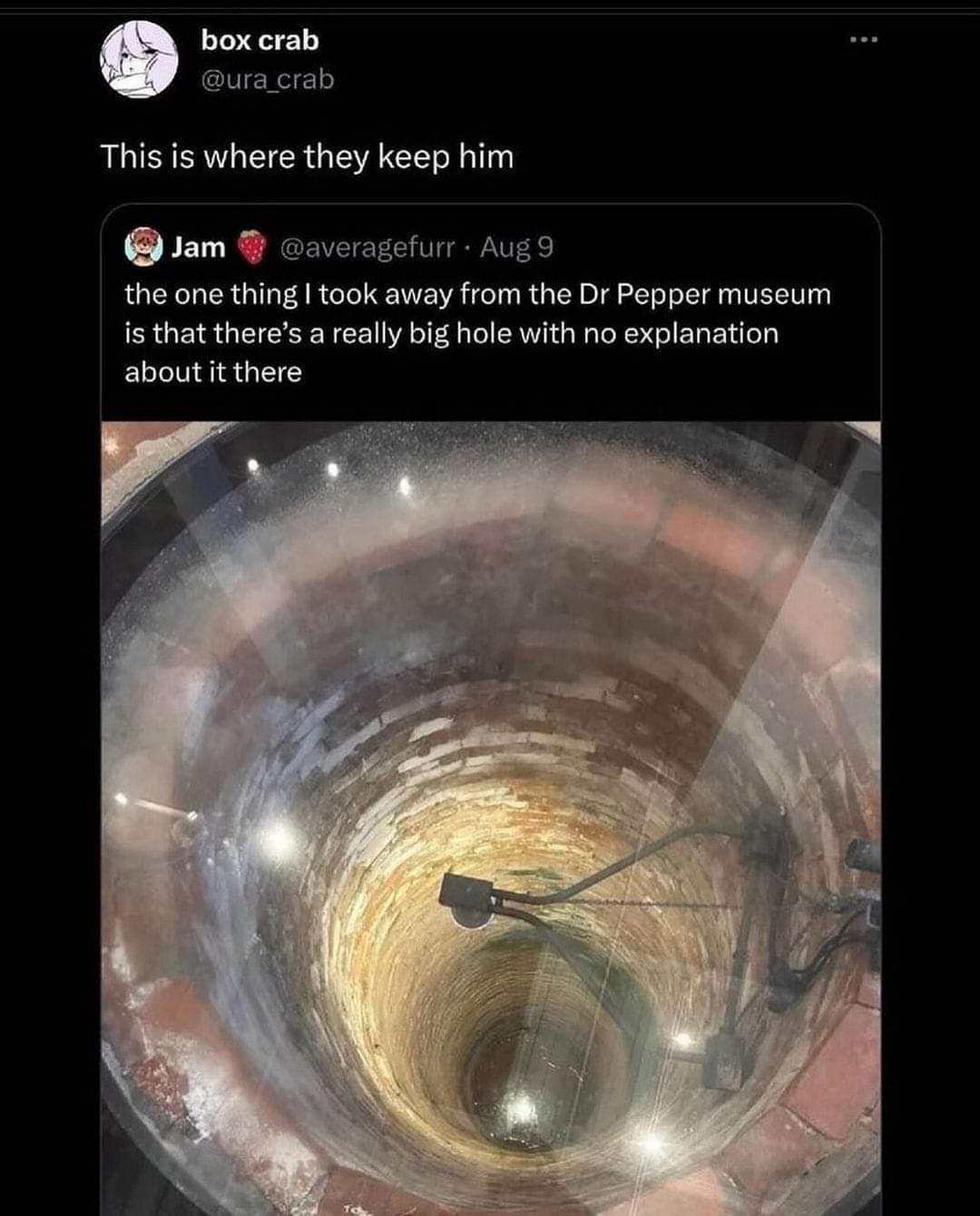 box crab @ura_crab This is where they keep him 4 Jam • @averagefurr • Aug 9 the one thing I took away from the Dr Pepper museum is that there's a really big hole with no explanation about it there