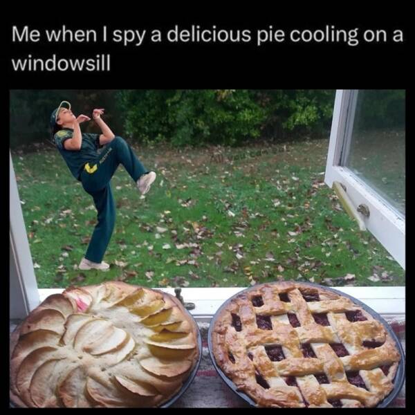 Me when I spy a delicious pie cooling on a windowsill