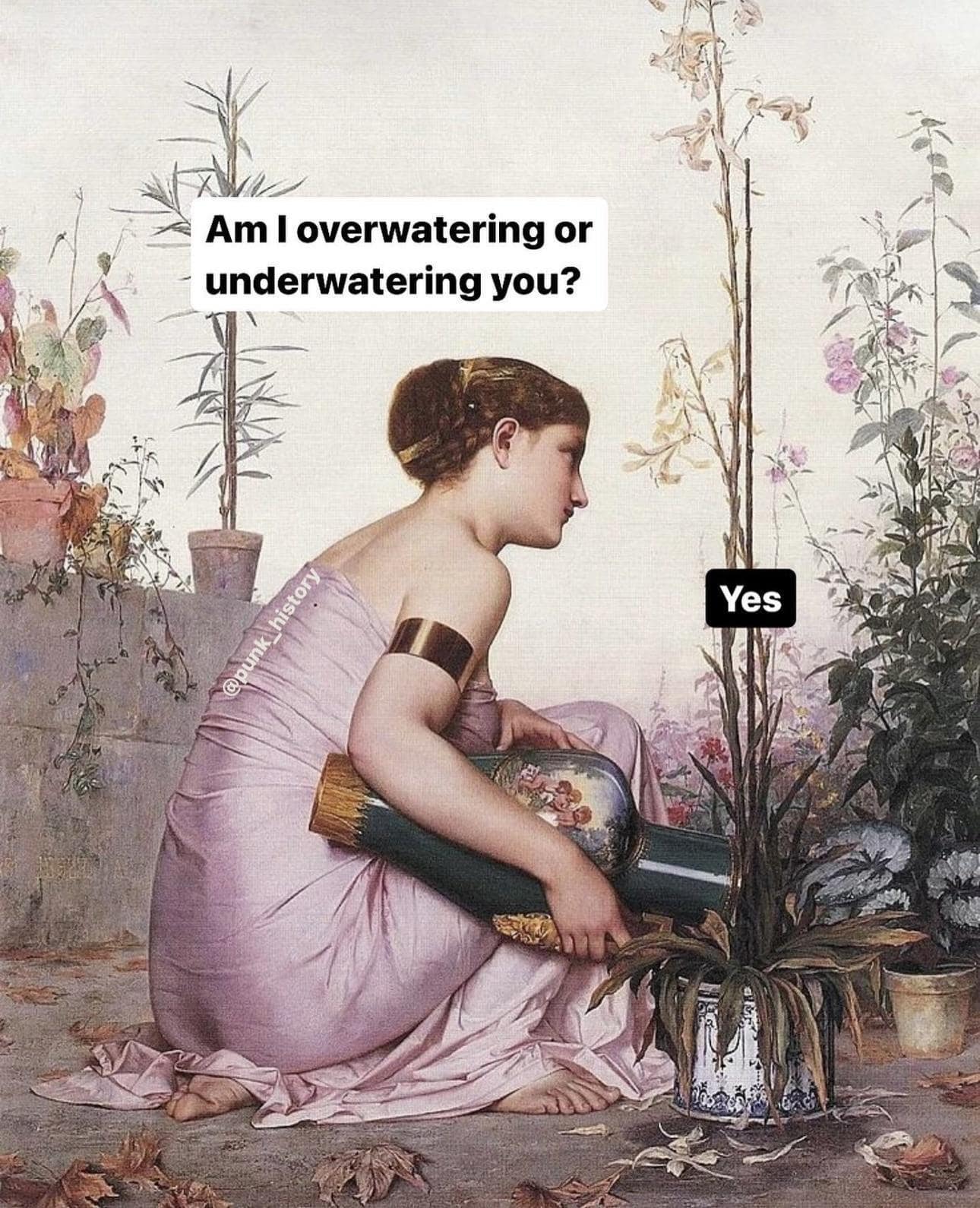 Am I overwatering or - underwatering you? Yes