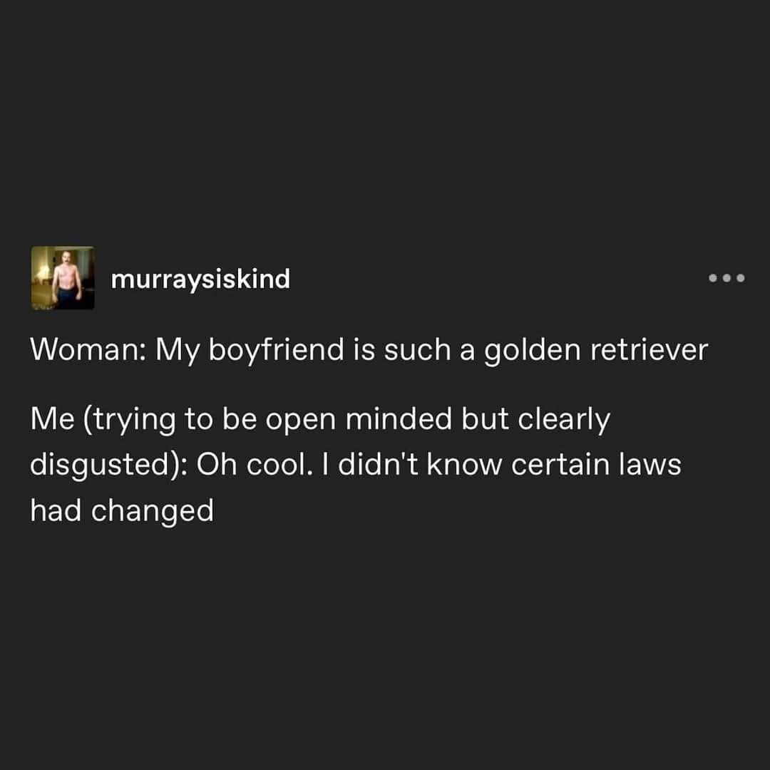 murraysiskind Woman: My boyfriend is such a golden retriever Me (trying to be open minded but clearly disgusted): Oh cool. I didn't know certain laws had changed