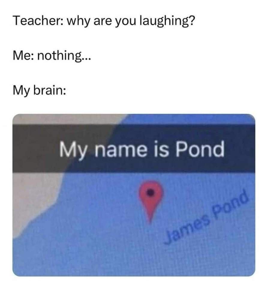 classic memes, vintage memes, viral tweets, timeless memes, iconic memes, old memes, best memes, internet humor, nostalgic memes, online jokes, trending tweets, throwback laughs