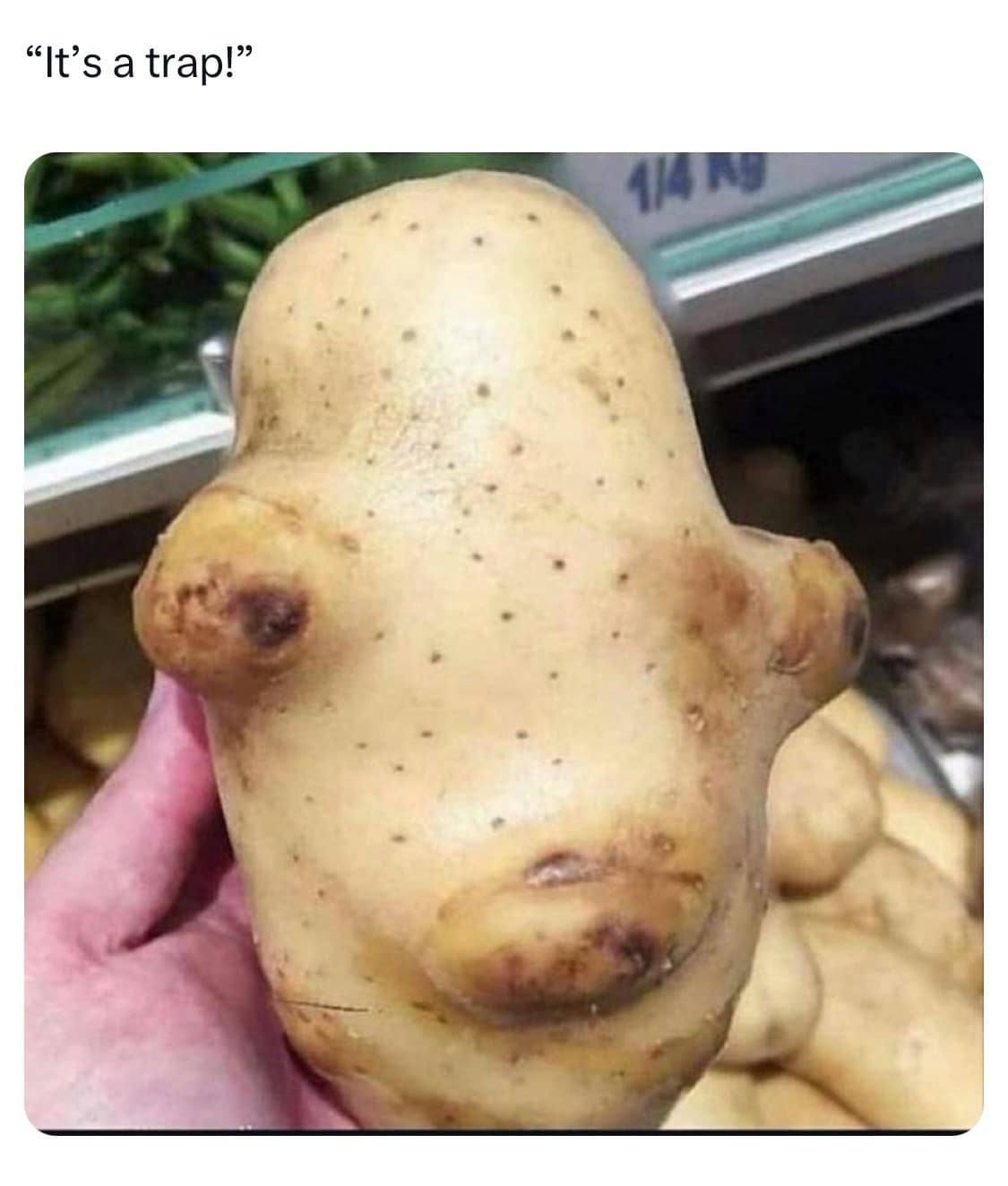 classic memes, vintage memes, viral tweets, old memes, best memes, timeless memes, vintage internet jokes, retro memes, trending text lines, widely shared posts, social media snapshots, vintage web content, comedic blasts from past, internet humor, digital comedic culture, web-based jokes, online comedic references