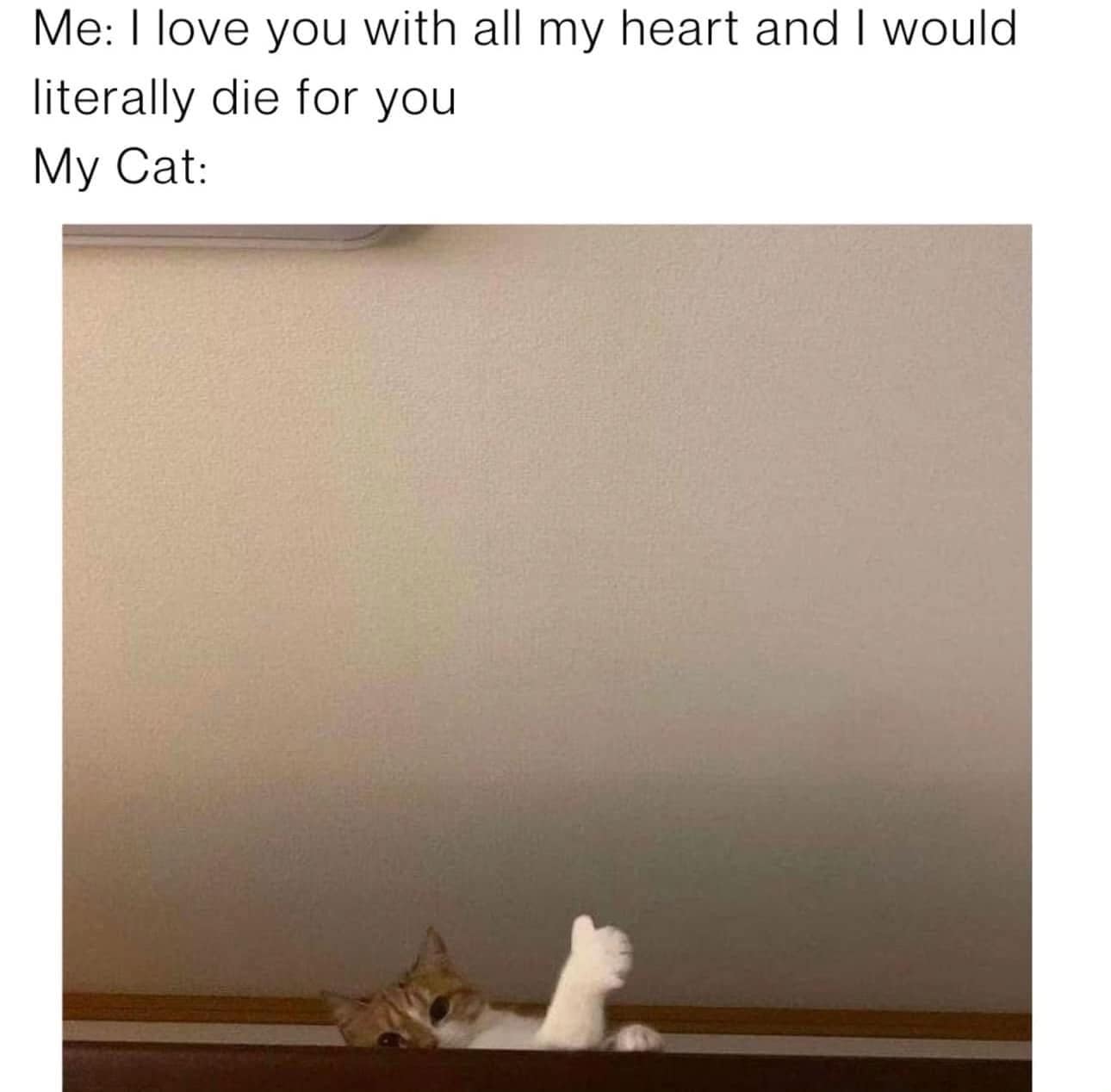 classic memes, viral tweets, vintage memes, old memes, best memes, viral memes, timeless memes, internet humor, internet culture, meme history, nostalgic memes, adulting memes, modern life memes