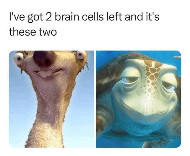 I've got 2 brain cells left and it's these two