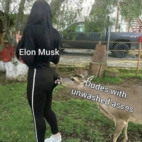 classic memes, vintage memes, viral tweets, timeless jokes, well-known internet hits, enduring funnies, nostalgic memes, reminiscent humor, old-school laughs, retro comedic bits, internet humor, digital wit, online comedic style, net-based giggles, top posts, social quips, trending microblog lines, old memes, best memes