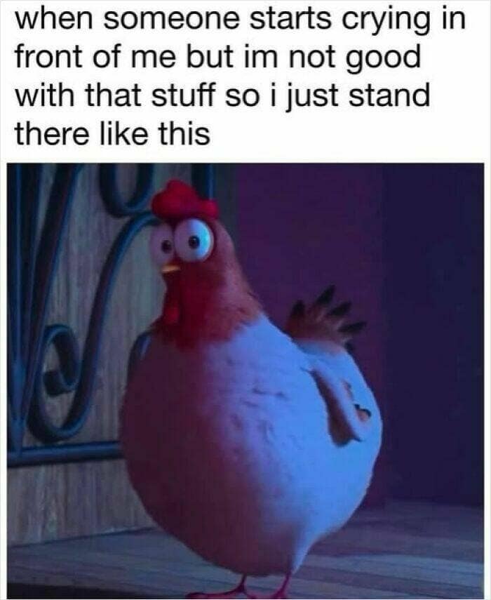 classic memes, vintage memes, viral tweets, viral memes, timeless memes, internet humor, internet culture, meme history, nostalgic memes, adulting memes, modern life memes, old memes, best memes, retro memes, throwback memes