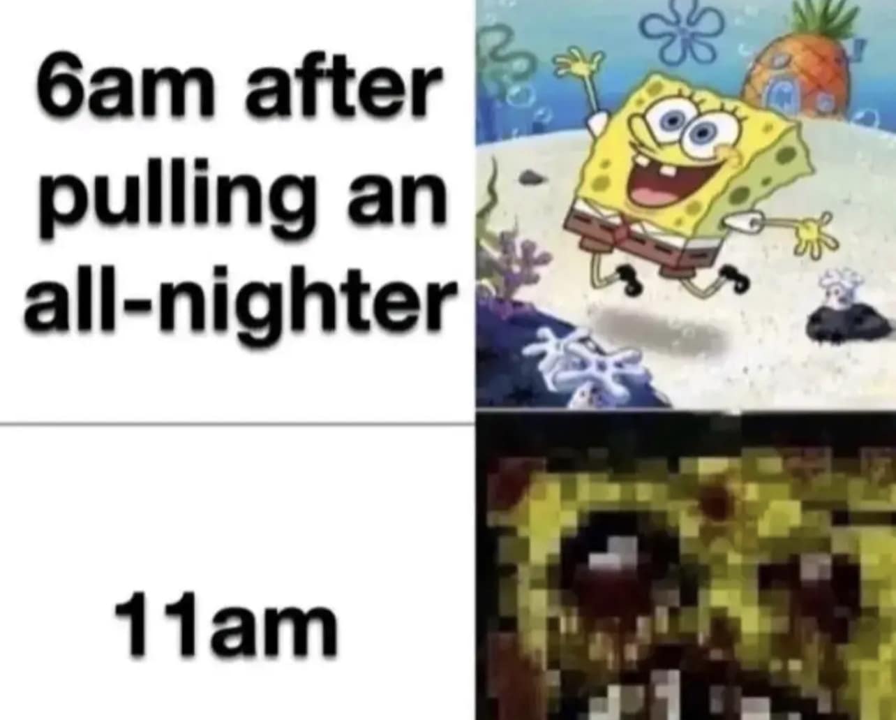 classic memes, viral tweets, vintage memes, old memes, best memes, viral memes, timeless memes, internet humor, internet culture, meme history, nostalgic memes, adulting memes, modern life memes