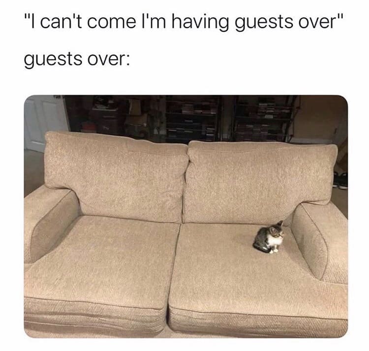 classic memes, vintage memes, viral tweets, timeless humor, enduring gags, old internet jokes, popular microblogs, widely shared lines, big traction commentary, nostalgia memes, retro comedic bits, vintage net references, throwback laughs, internet humor, comedic content, web-based jokes, digital comedic culture, old memes, best memes
