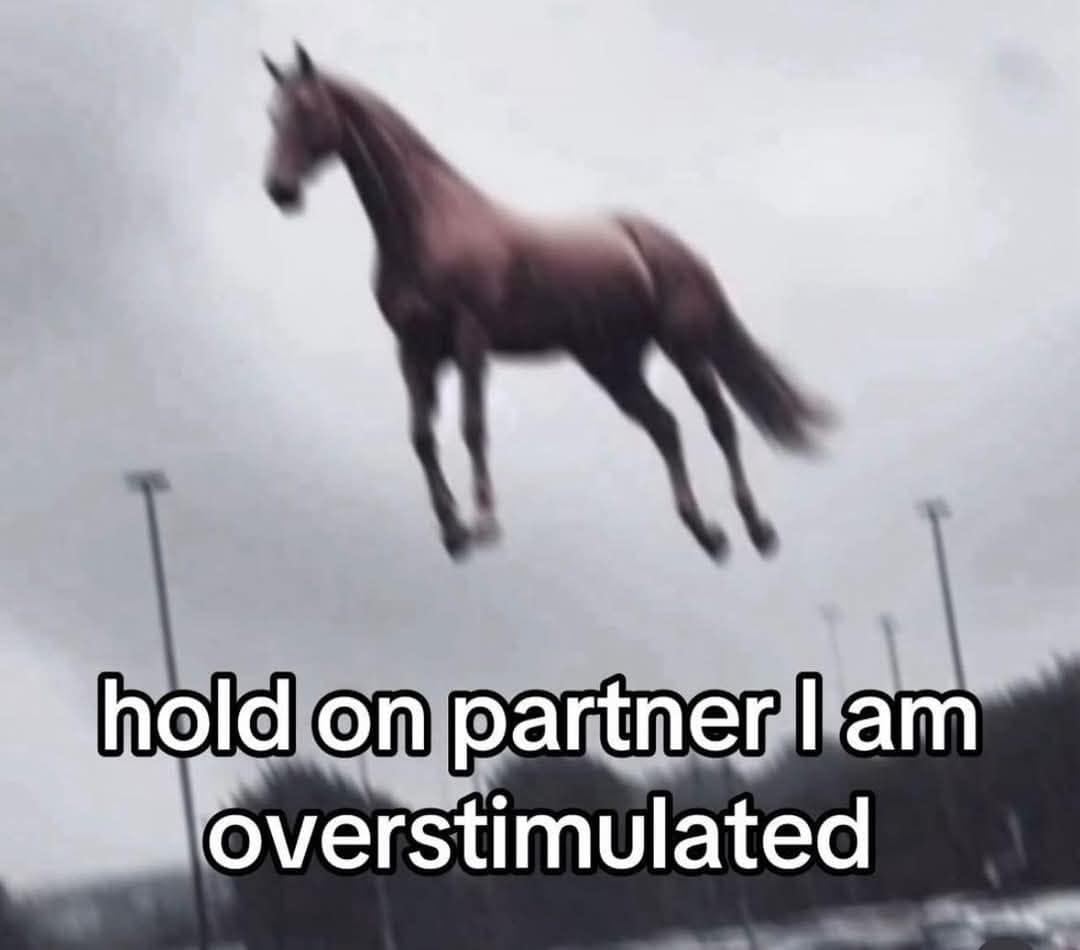 classic memes, vintage memes, viral tweets, viral memes, timeless memes, internet humor, internet culture, meme history, nostalgic memes, adulting memes, modern life memes, old memes, best memes, retro memes, throwback memes
