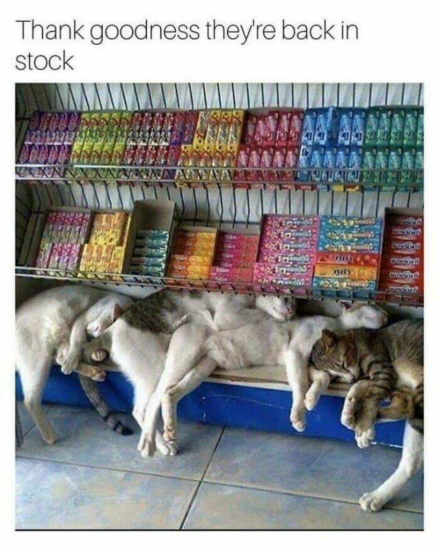 Thank goodness they're back in stock