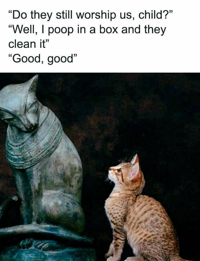 classical art memes, Renaissance memes, art history humor, old master jokes, Baroque memes, Romantic art humor, historical art jokes, vintage art memes, classic painting humor, artistic satire