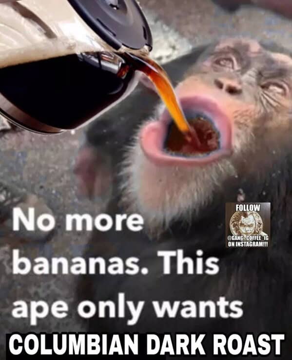 coffee meme, coffee memes, caffeinated pictures, brew-based humor, espresso fun, morning coffee, dawn caffeine, early-day beverage, wake-up elixir, coffee jokes, coffee puns, beverage comedy, warm mug punchlines