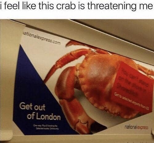 crab meme, crab memes, crustacean humor, shelled comedic images, pincers in pictures, weirdly funny crabs, odd crab jokes, strange shellfish fun, comedic crustaceans, ocean memes, sea-themed humor, aquatic amusements, marine comedic content, sea life humor, watery jests, oceanic jokes, brine-laced punchlines