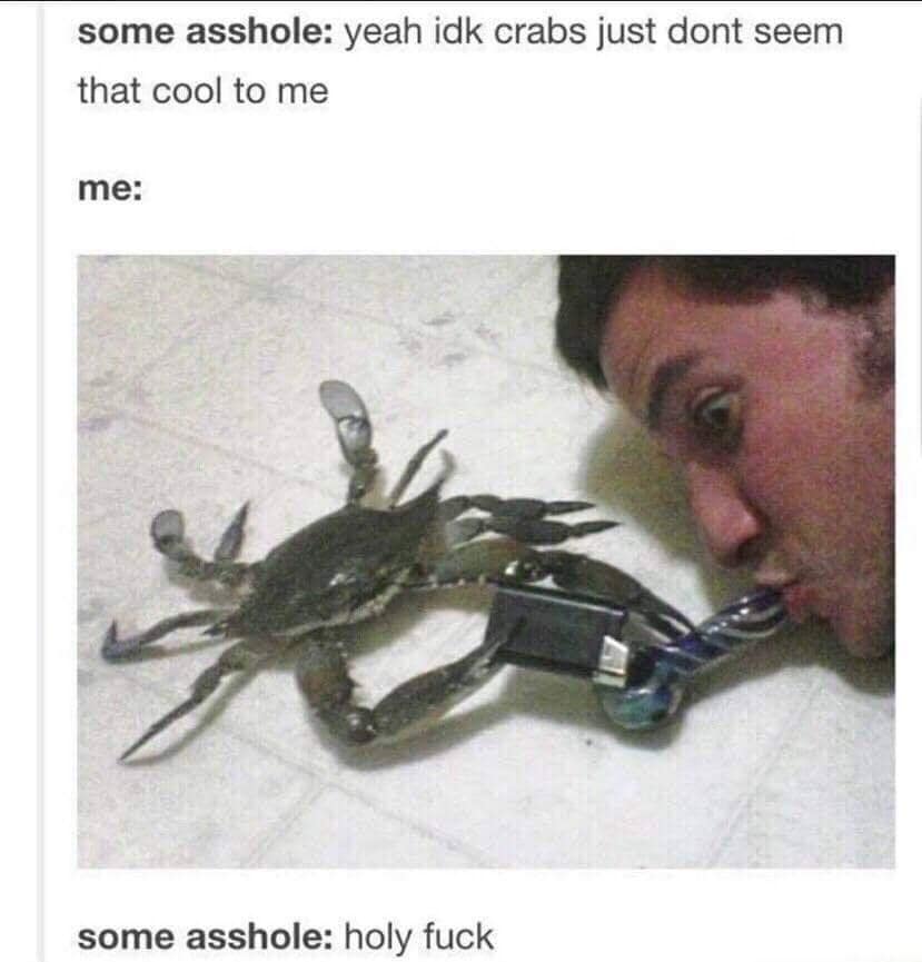 crab meme, crab memes, crustacean humor, shelled comedic images, pincers in pictures, weirdly funny crabs, odd crab jokes, strange shellfish fun, comedic crustaceans, ocean memes, sea-themed humor, aquatic amusements, marine comedic content, sea life humor, watery jests, oceanic jokes, brine-laced punchlines