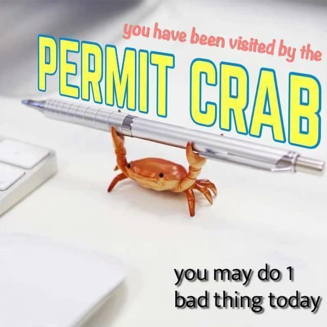 crab meme, crab memes, crustacean humor, shelled comedic images, pincers in pictures, weirdly funny crabs, odd crab jokes, strange shellfish fun, comedic crustaceans, ocean memes, sea-themed humor, aquatic amusements, marine comedic content, sea life humor, watery jests, oceanic jokes, brine-laced punchlines
