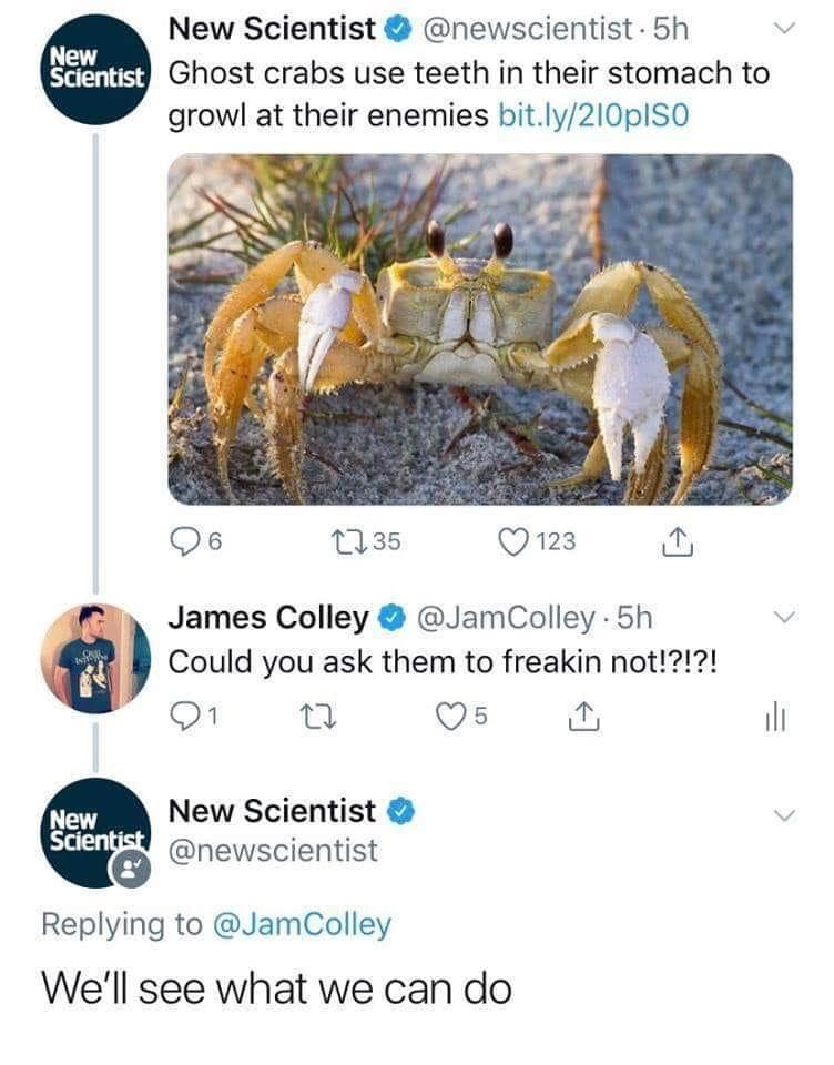 crab meme, crab memes, crustacean humor, shelled comedic images, pincers in pictures, weirdly funny crabs, odd crab jokes, strange shellfish fun, comedic crustaceans, ocean memes, sea-themed humor, aquatic amusements, marine comedic content, sea life humor, watery jests, oceanic jokes, brine-laced punchlines