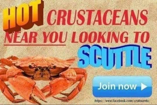 crab meme, crab memes, crustacean humor, shelled comedic images, pincers in pictures, weirdly funny crabs, odd crab jokes, strange shellfish fun, comedic crustaceans, ocean memes, sea-themed humor, aquatic amusements, marine comedic content, sea life humor, watery jests, oceanic jokes, brine-laced punchlines