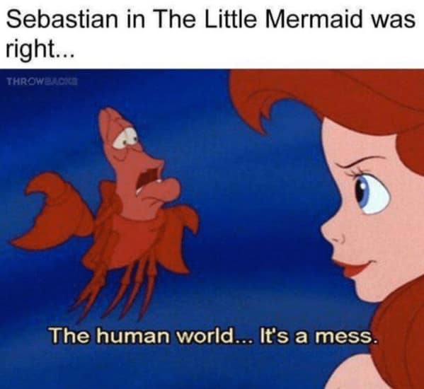 Disney memes, cartoon humor, animated jokes, family-friendly memes, funny disney jokes, comedic princess moments, silly fairytale quips, sarcastic cartoon lines, disney humor, magical satire, classic animation wit, whimsical comedic takes, disney references, kingdom nods, fairytale elements, big castle hints