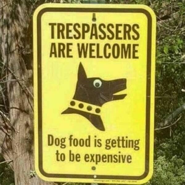 dog memes, puppy memes, puppy humor, canine jokes, furry friend memes, funny dog photos, dog shaming, animal comedy, pet antics, dog behavior jokes