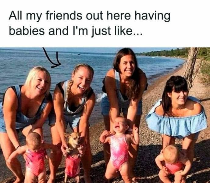 dog memes, puppy memes, puppy humor, canine jokes, furry friend memes, funny dog photos, dog shaming, animal comedy, pet antics, dog behavior jokes