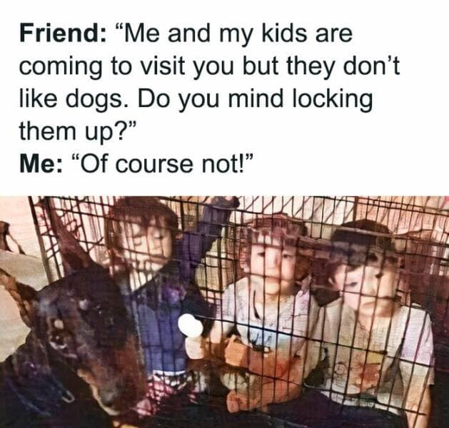 dog memes, puppy memes, puppy humor, canine jokes, furry friend memes, funny dog photos, dog shaming, animal comedy, pet antics, dog behavior jokes