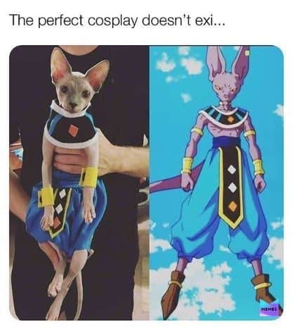 dragon ball z memes, dragon ball memes, DBZ jokes, Saiyan humor, Kamehameha comedy, anime memes, manga humor, animated show gags, otaku quips, funny Dragon Ball, comedic DB moments, lighthearted Z jokes, humorous Saiyan bits, Goku references, heroic nods, spiky-haired tributes, earth's champion jokes