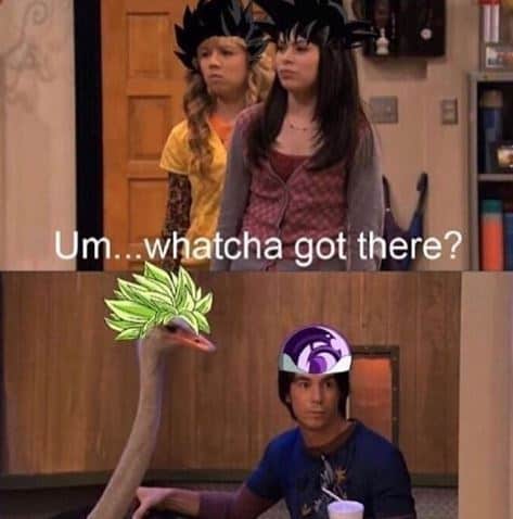 dragon ball z memes, dragon ball memes, DBZ jokes, Saiyan humor, Kamehameha comedy, anime memes, manga humor, animated show gags, otaku quips, funny Dragon Ball, comedic DB moments, lighthearted Z jokes, humorous Saiyan bits, Goku references, heroic nods, spiky-haired tributes, earth's champion jokes