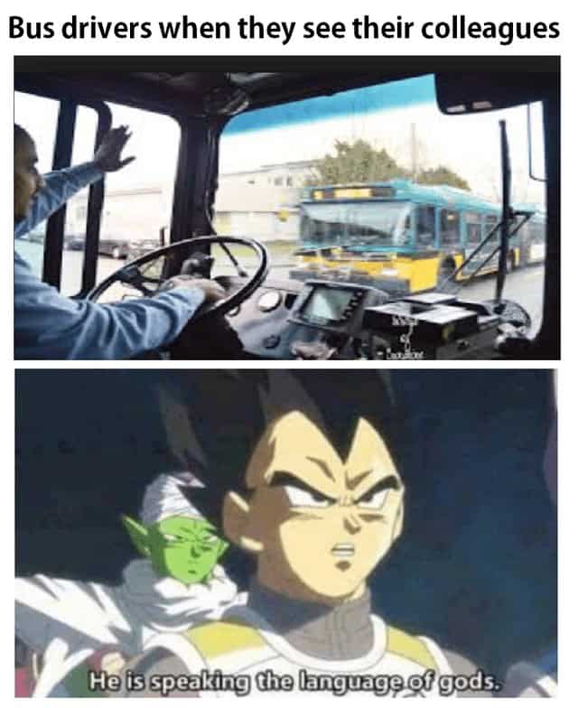 dragon ball z memes, dragon ball memes, DBZ jokes, Saiyan humor, Kamehameha comedy, anime memes, manga humor, animated show gags, otaku quips, funny Dragon Ball, comedic DB moments, lighthearted Z jokes, humorous Saiyan bits, Goku references, heroic nods, spiky-haired tributes, earth's champion jokes